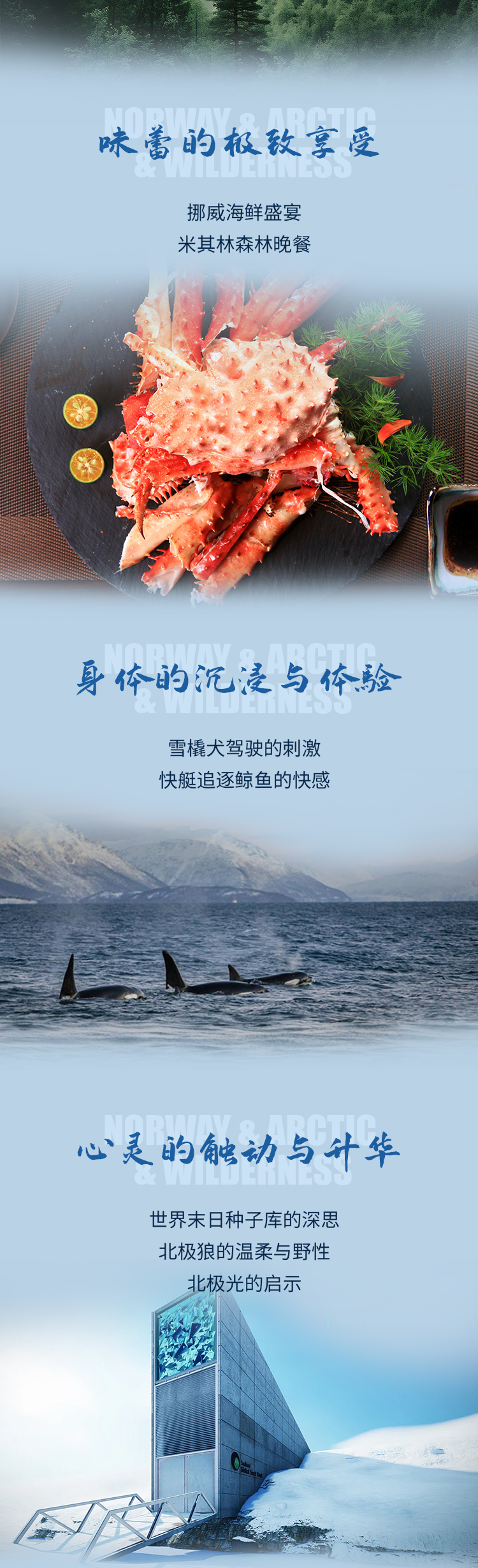 七妙挪威(图4) 七妙挪威长图_04.jpg