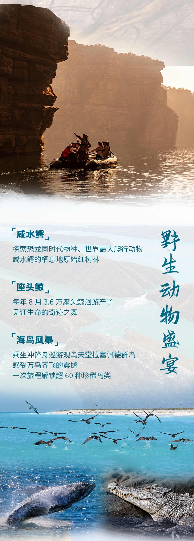 2027金伯利长图_02.jpg