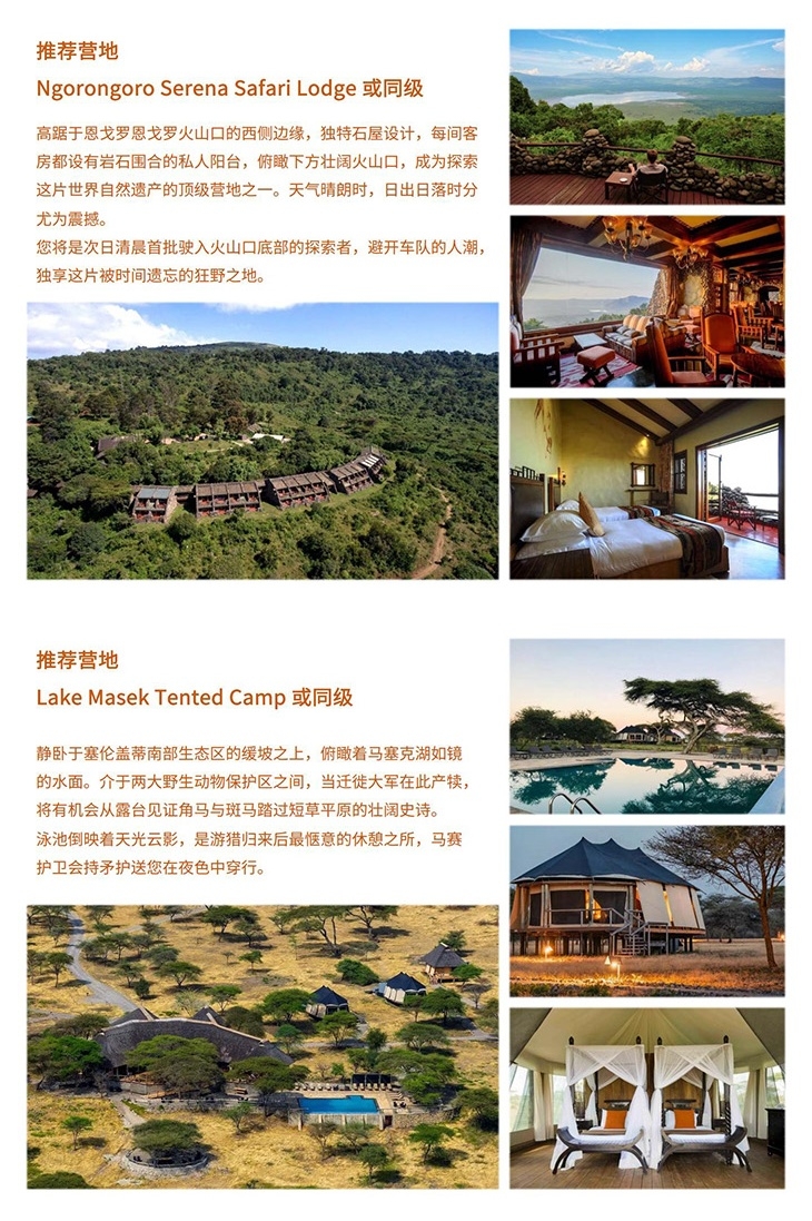 坦桑 营地长图_3.jpg