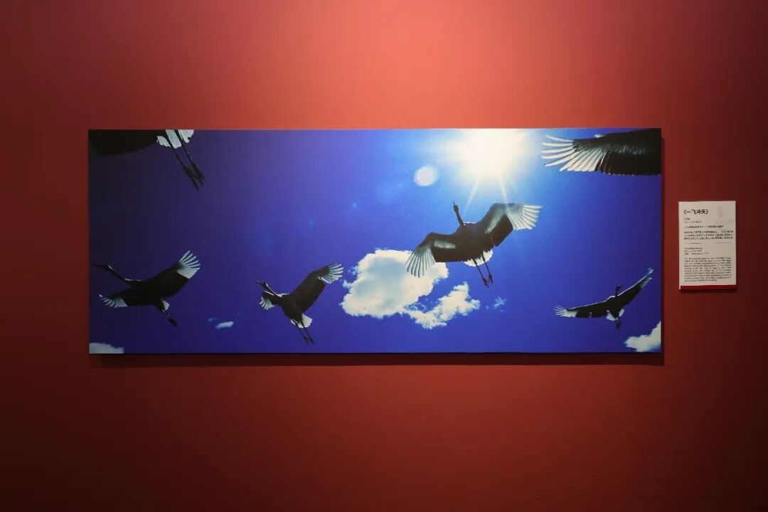 著名摄影师、极之美旅行家边缘影展在京举办(图5) 5.jpeg